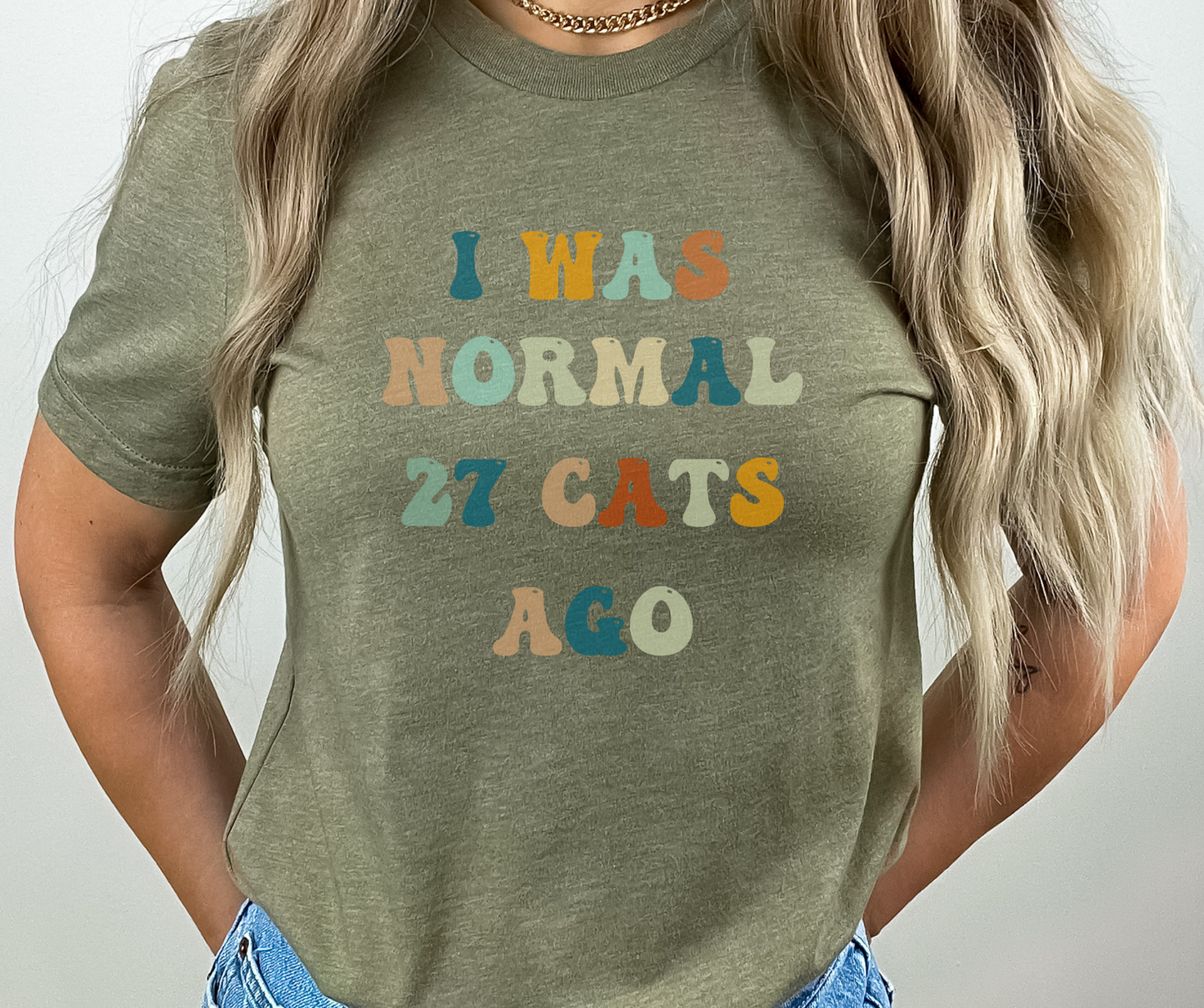 I Was Normal 27 Cats Ago Shirt