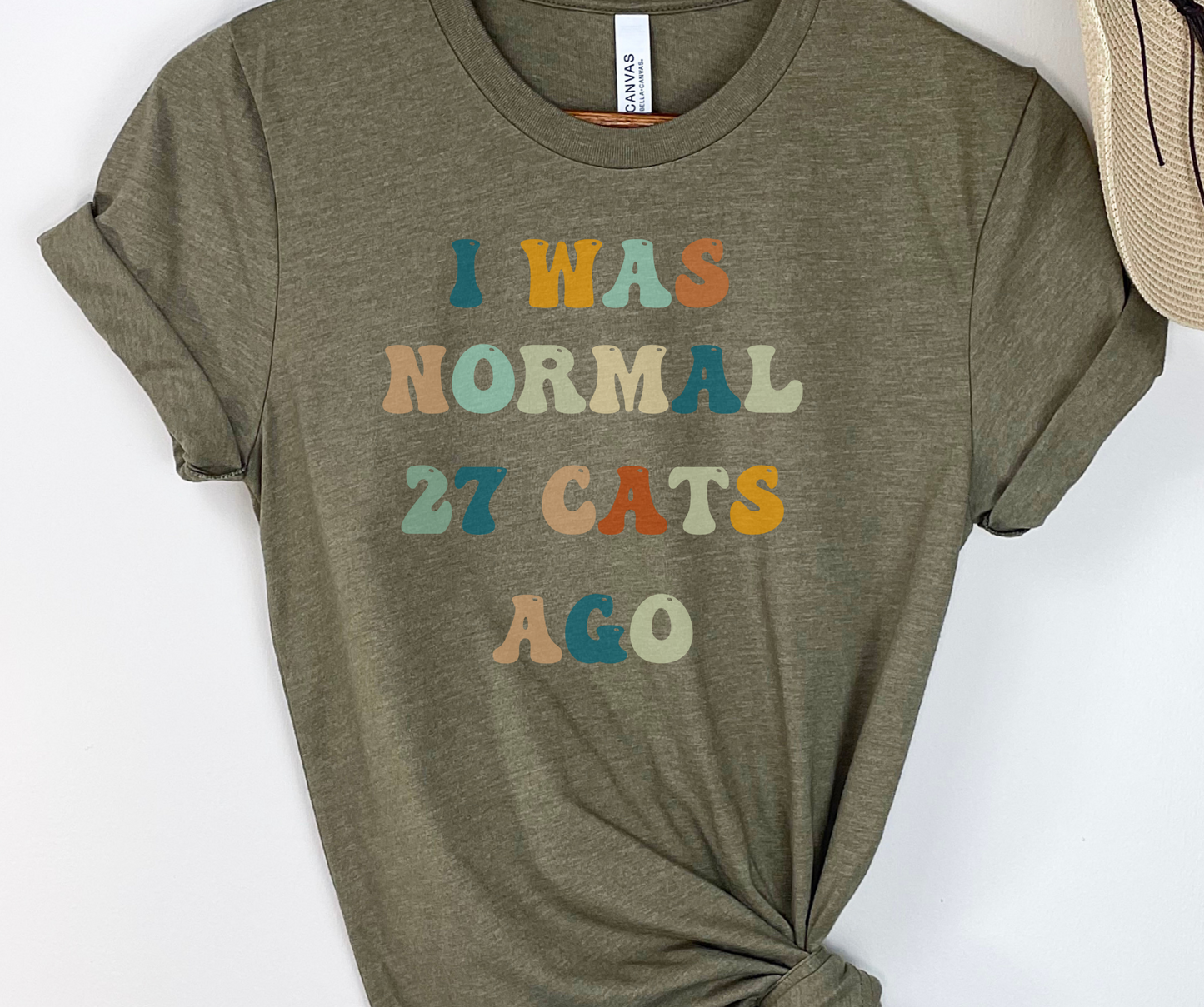 I Was Normal 27 Cats Ago Shirt